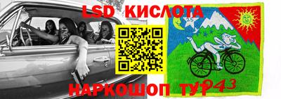 PSILOCYBIN Можга