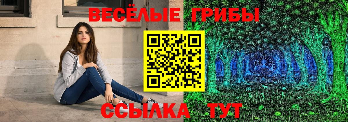 как найти наркотики  Псилоцибиновые грибы мухоморы  Вход с VPN  Фролово  Галлюциногенные грибы Psilocybine cubensis 
